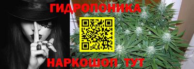 стаф Гусев