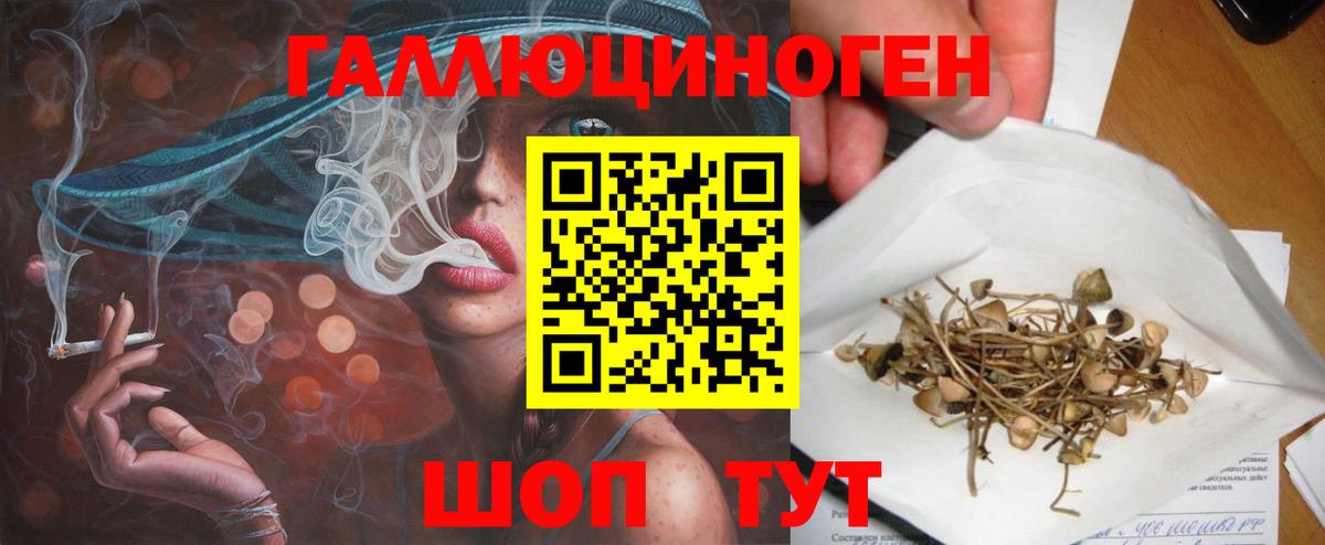 Псилоцибиновые грибы мухоморы  Вход с VPN  Новокубанск 